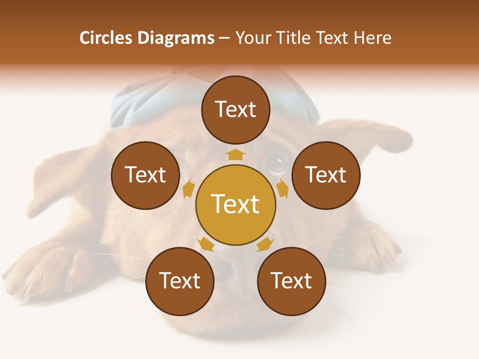 Resting Water Virus PowerPoint Template