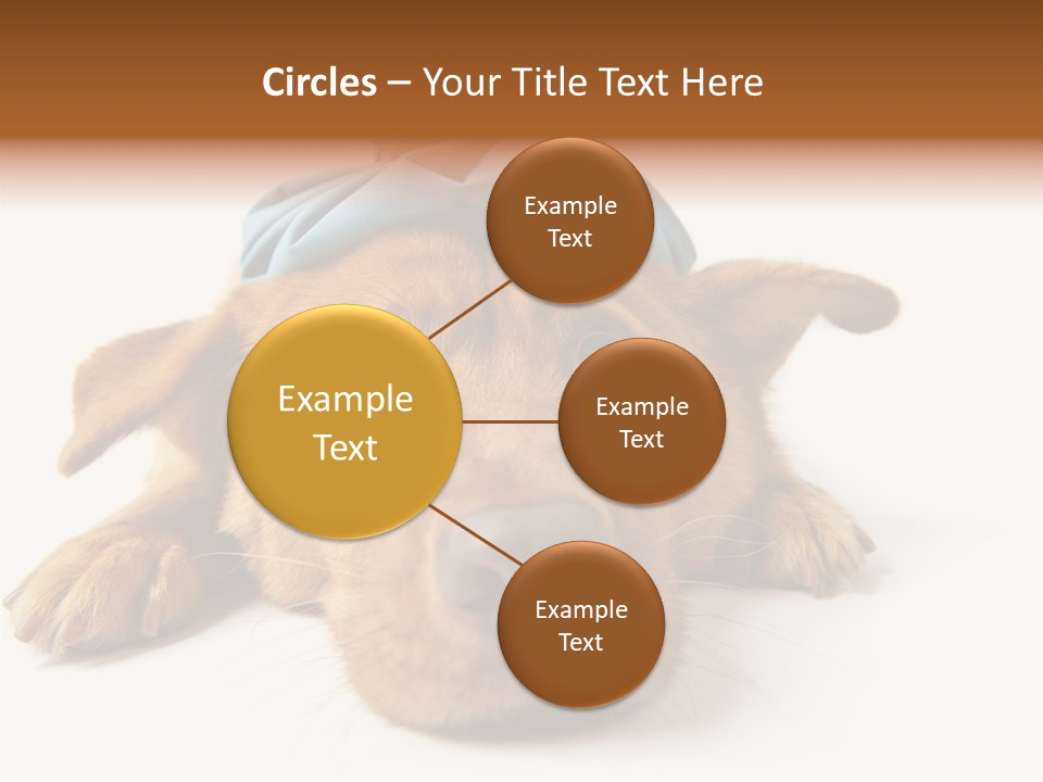 Resting Water Virus PowerPoint Template