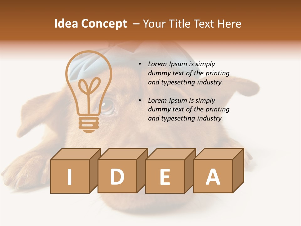 Resting Water Virus PowerPoint Template