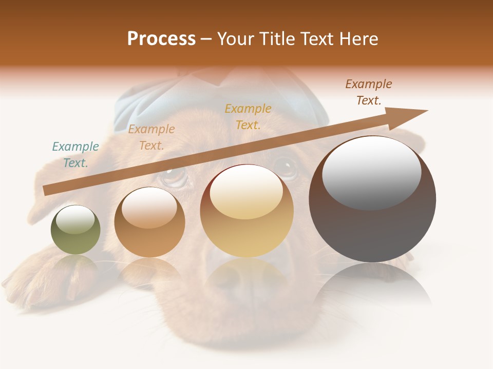 Resting Water Virus PowerPoint Template