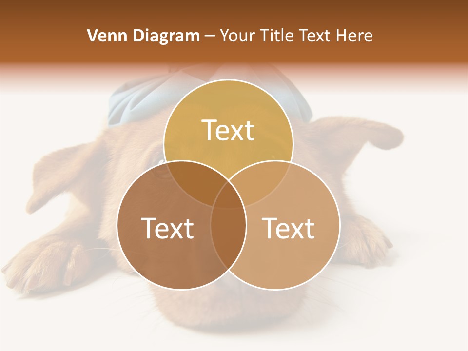 Resting Water Virus PowerPoint Template