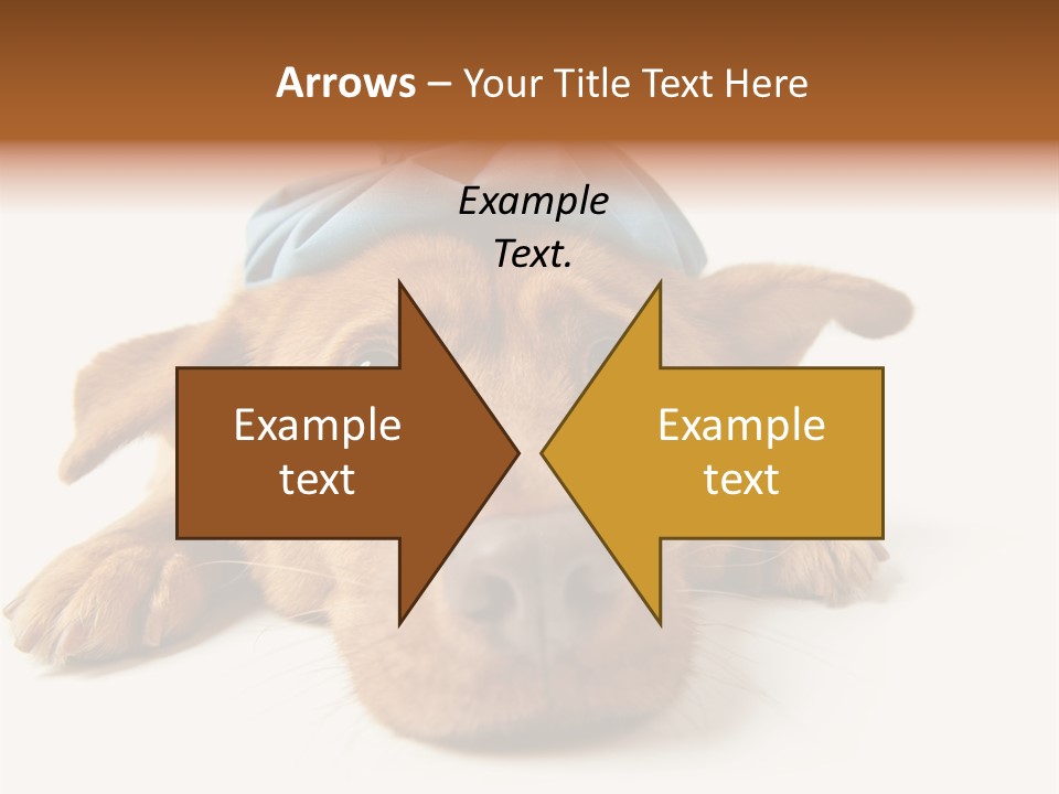 Resting Water Virus PowerPoint Template