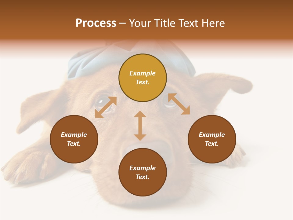 Resting Water Virus PowerPoint Template