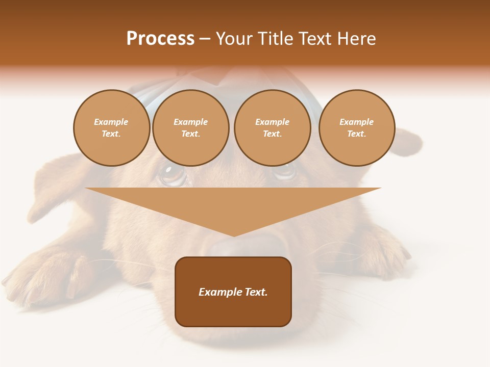 Resting Water Virus PowerPoint Template