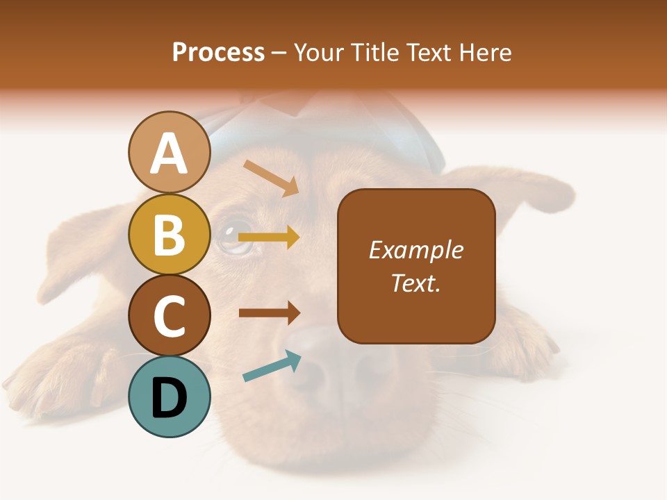 Resting Water Virus PowerPoint Template