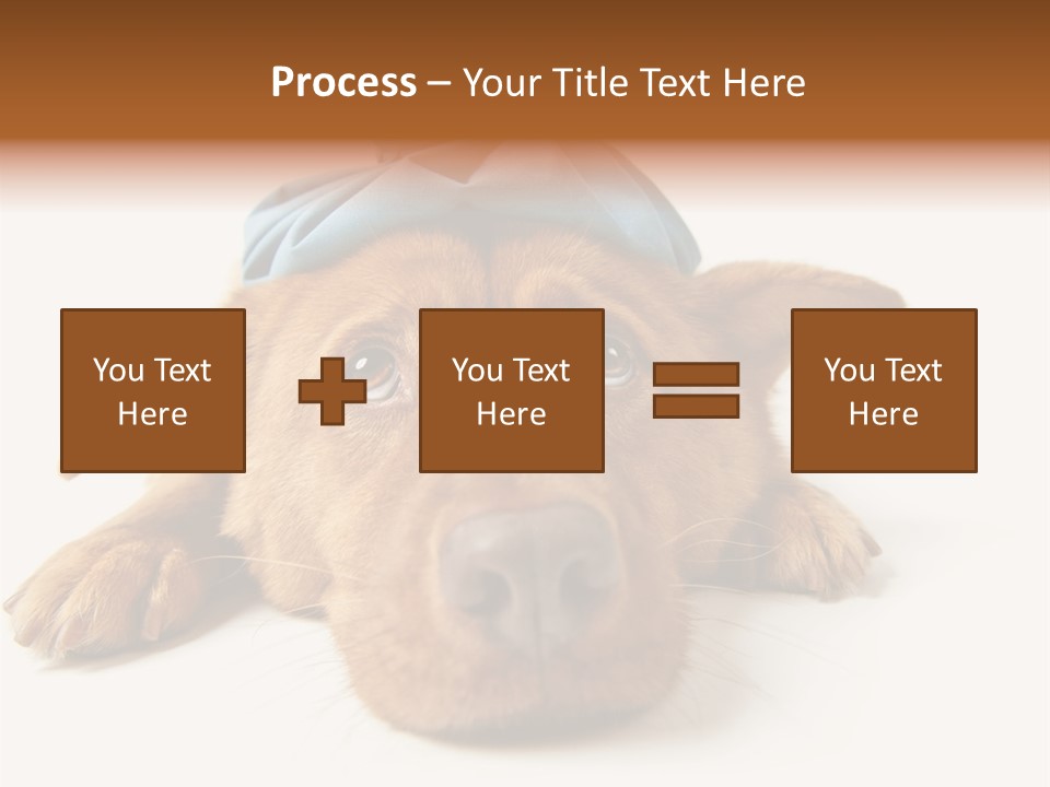 Resting Water Virus PowerPoint Template