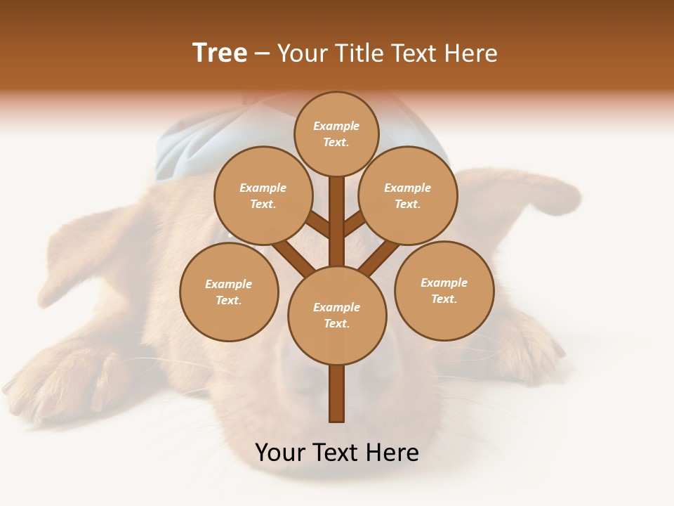 Resting Water Virus PowerPoint Template