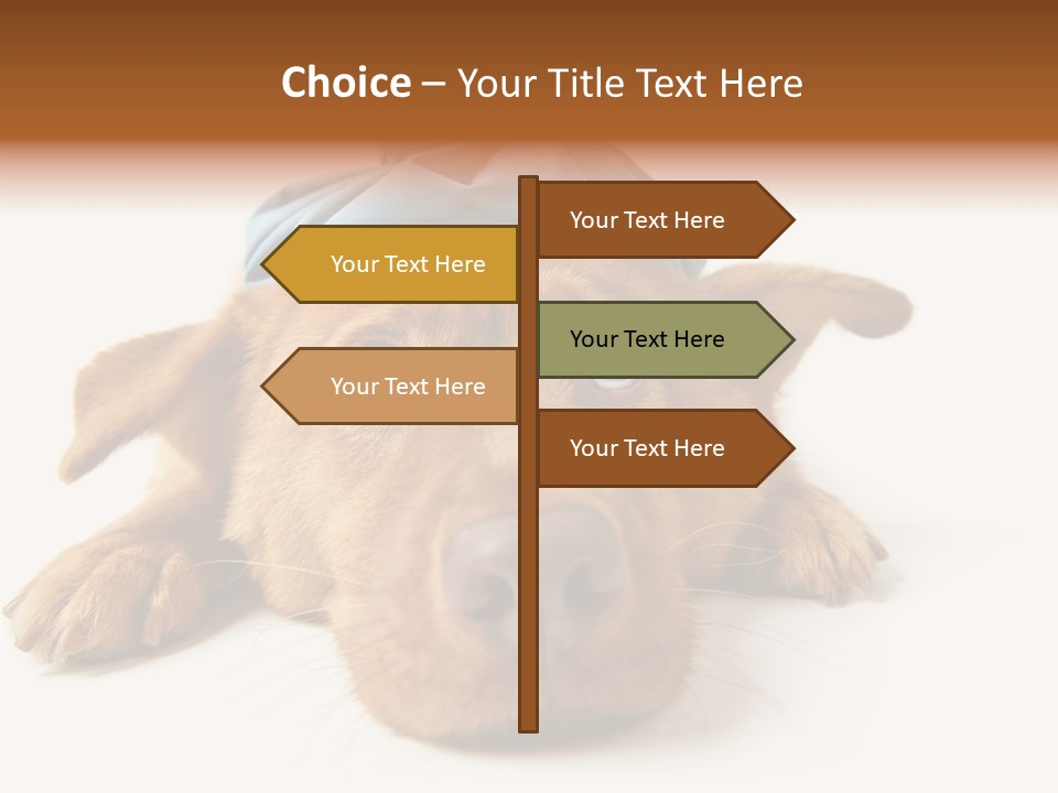 Resting Water Virus PowerPoint Template