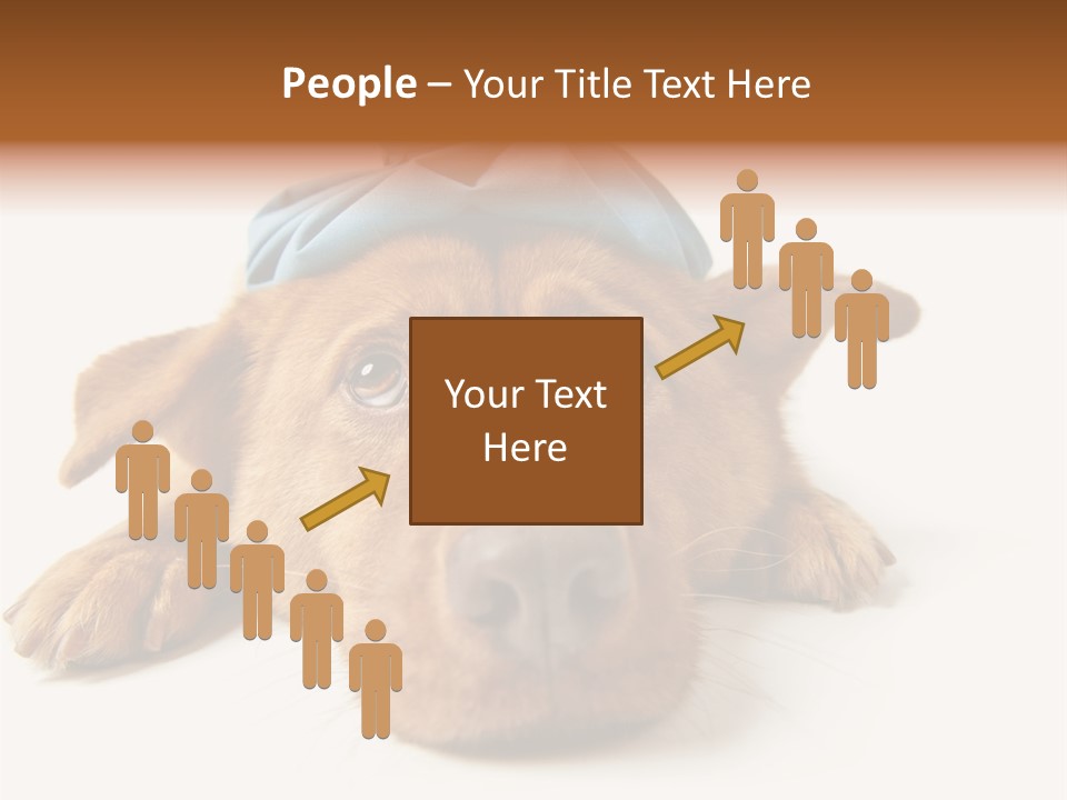 Resting Water Virus PowerPoint Template