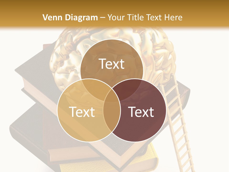 Isolated Page Reading PowerPoint Template