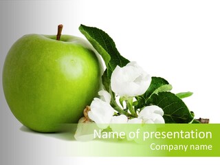 Arrangement Studio Fruit PowerPoint Template