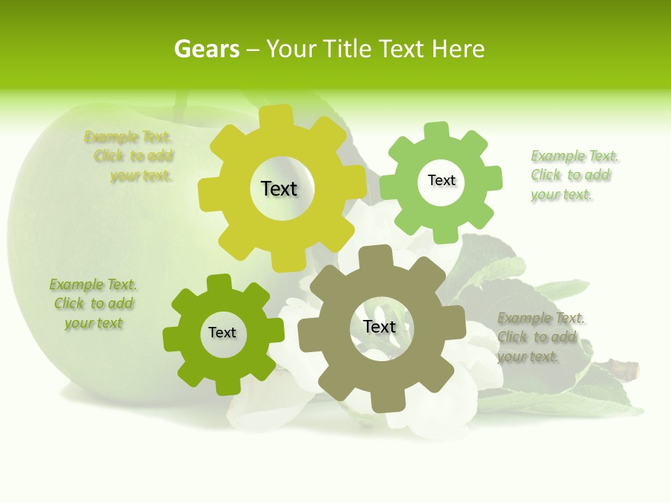 Arrangement Studio Fruit PowerPoint Template