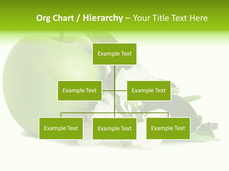 Arrangement Studio Fruit PowerPoint Template
