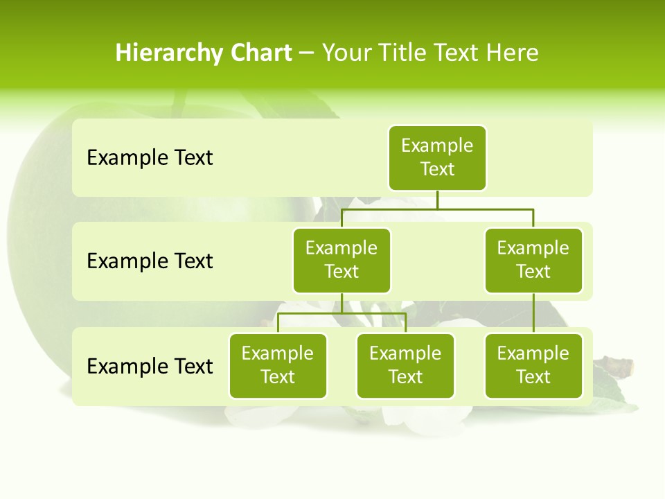 Arrangement Studio Fruit PowerPoint Template