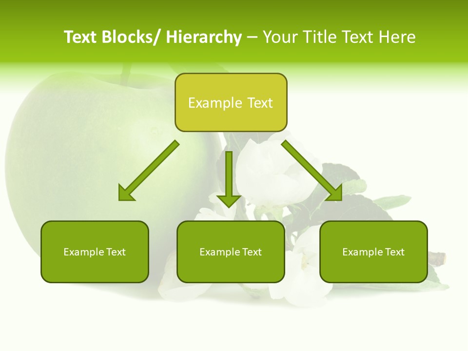 Arrangement Studio Fruit PowerPoint Template
