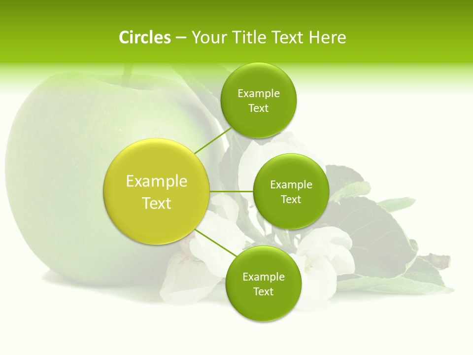 Arrangement Studio Fruit PowerPoint Template