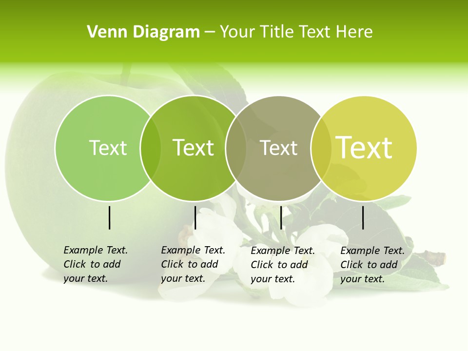 Arrangement Studio Fruit PowerPoint Template