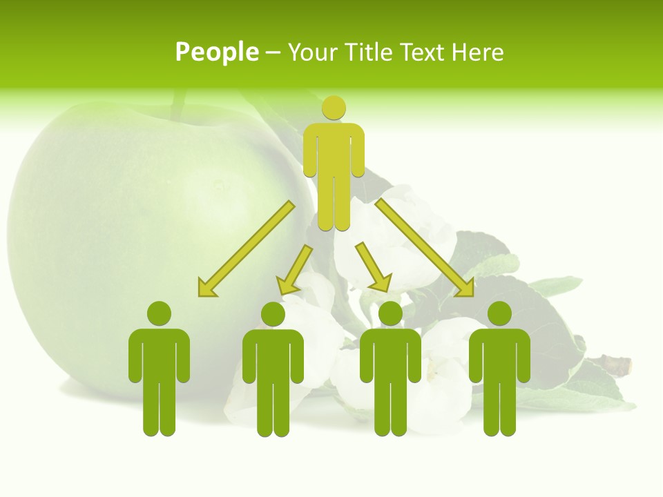 Arrangement Studio Fruit PowerPoint Template