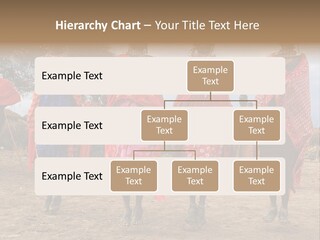 Show Performance High PowerPoint Template
