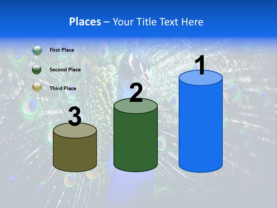 Male Vibrant Closeup PowerPoint Template