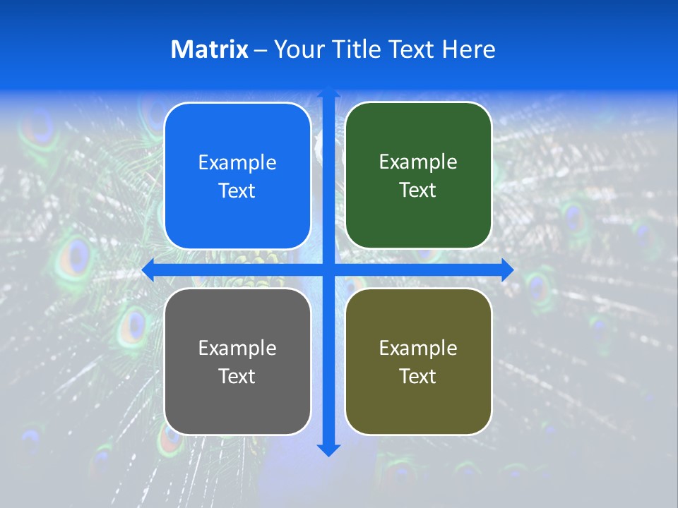 Male Vibrant Closeup PowerPoint Template