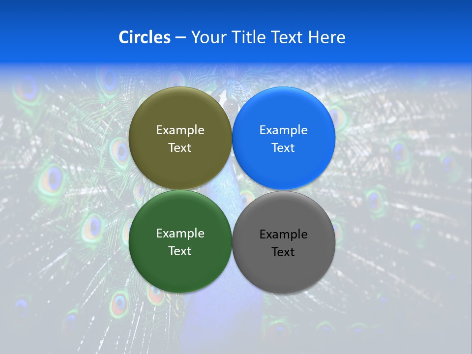 Male Vibrant Closeup PowerPoint Template