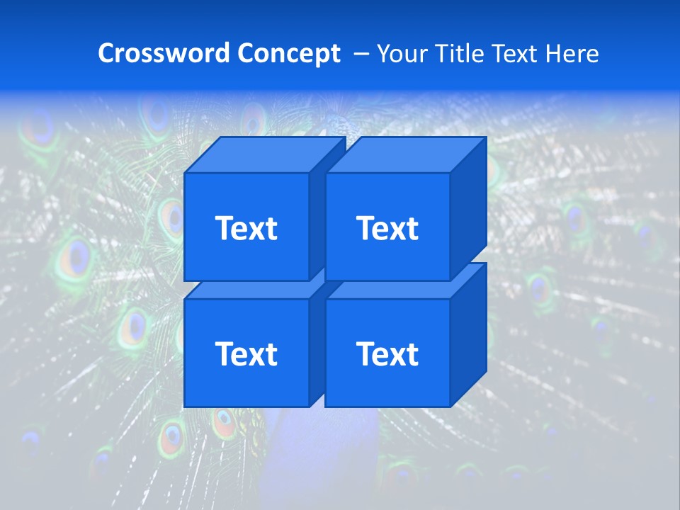 Male Vibrant Closeup PowerPoint Template