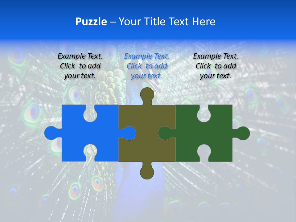 Male Vibrant Closeup PowerPoint Template