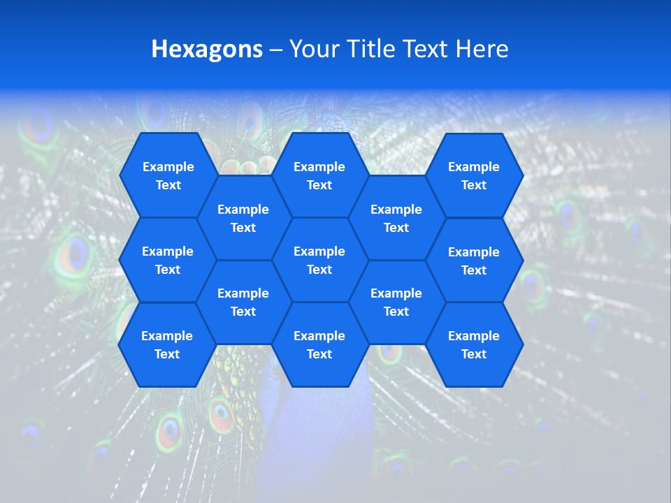 Male Vibrant Closeup PowerPoint Template