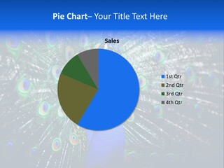 Male Vibrant Closeup PowerPoint Template