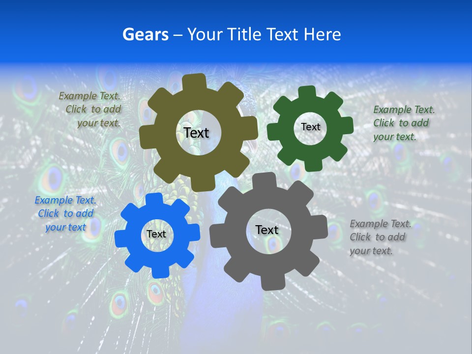 Male Vibrant Closeup PowerPoint Template
