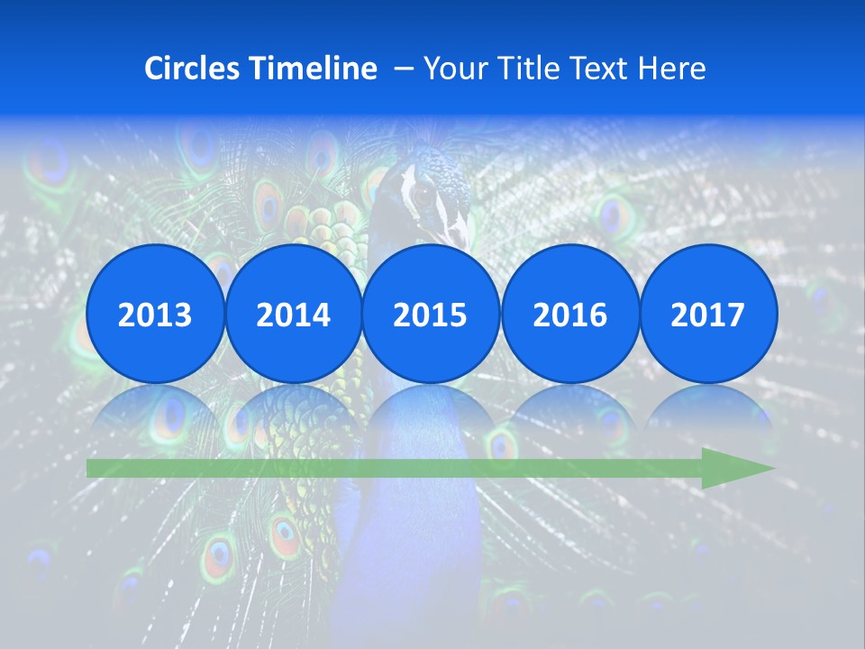 Male Vibrant Closeup PowerPoint Template