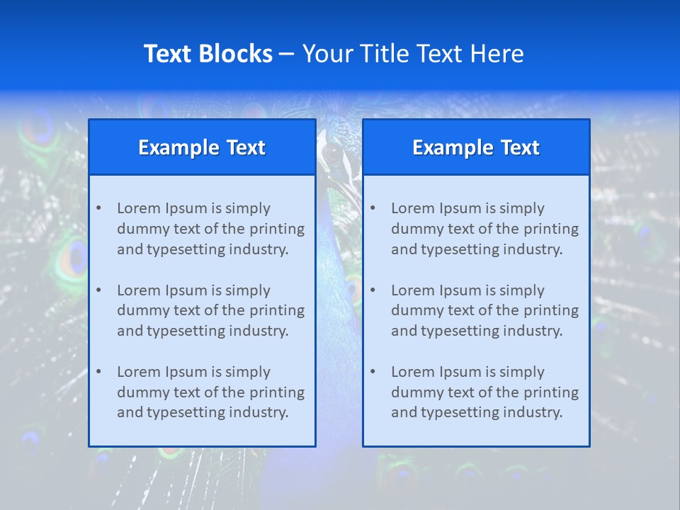 Male Vibrant Closeup PowerPoint Template