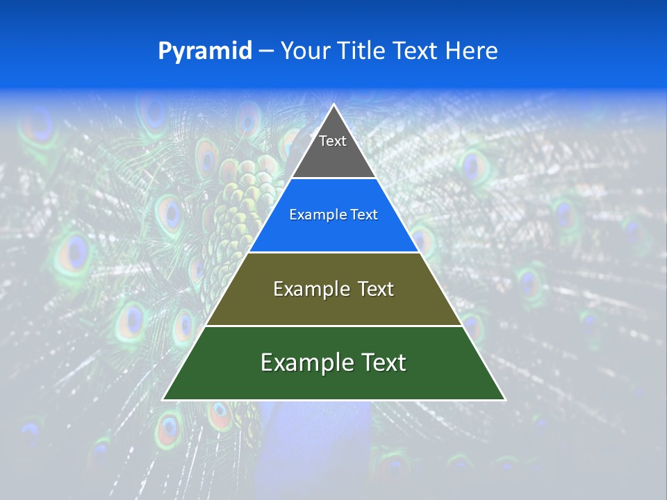 Male Vibrant Closeup PowerPoint Template