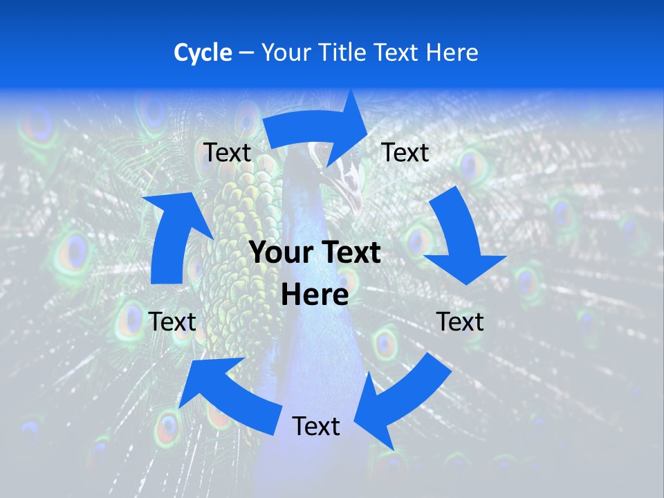 Male Vibrant Closeup PowerPoint Template