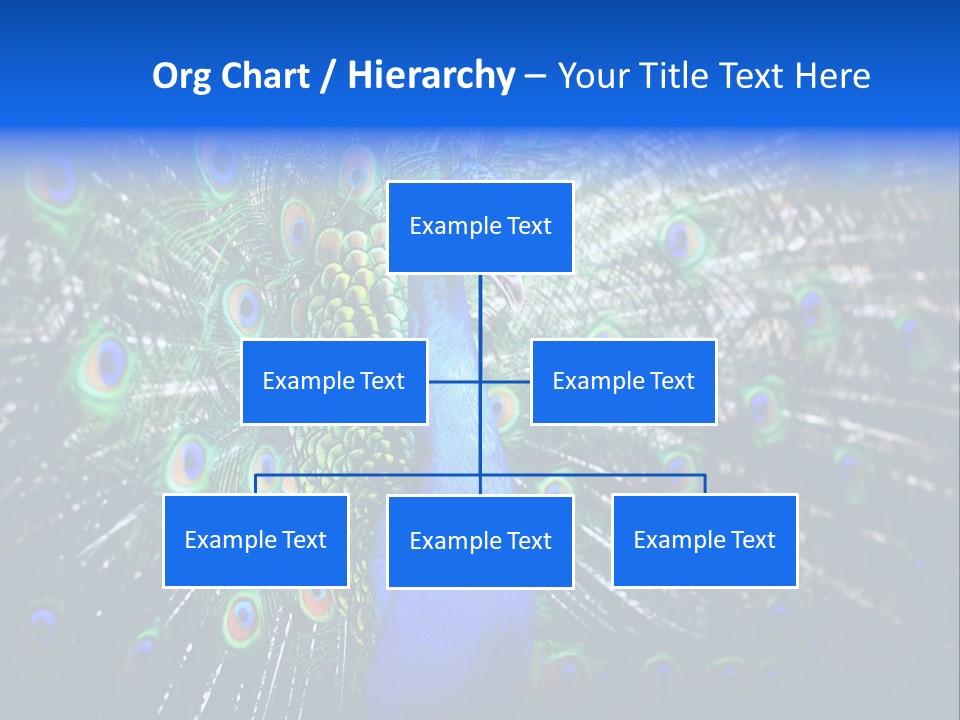Male Vibrant Closeup PowerPoint Template
