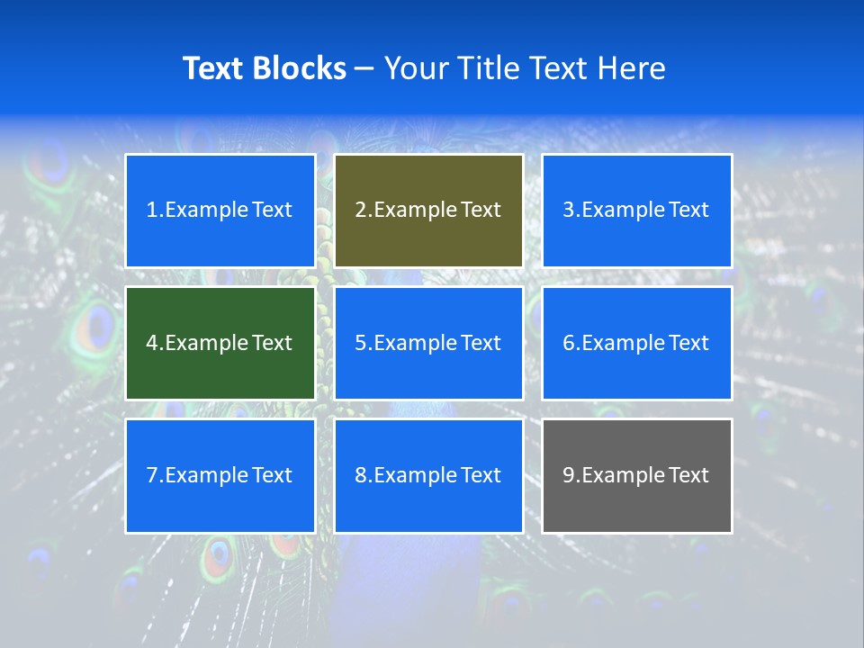 Male Vibrant Closeup PowerPoint Template