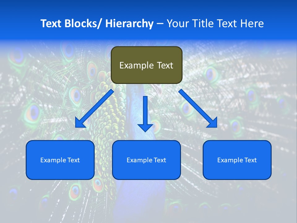 Male Vibrant Closeup PowerPoint Template