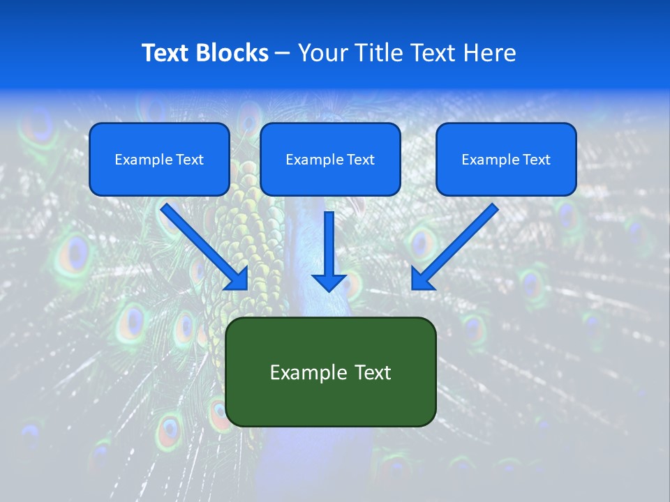 Male Vibrant Closeup PowerPoint Template