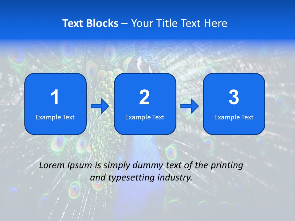 Male Vibrant Closeup PowerPoint Template