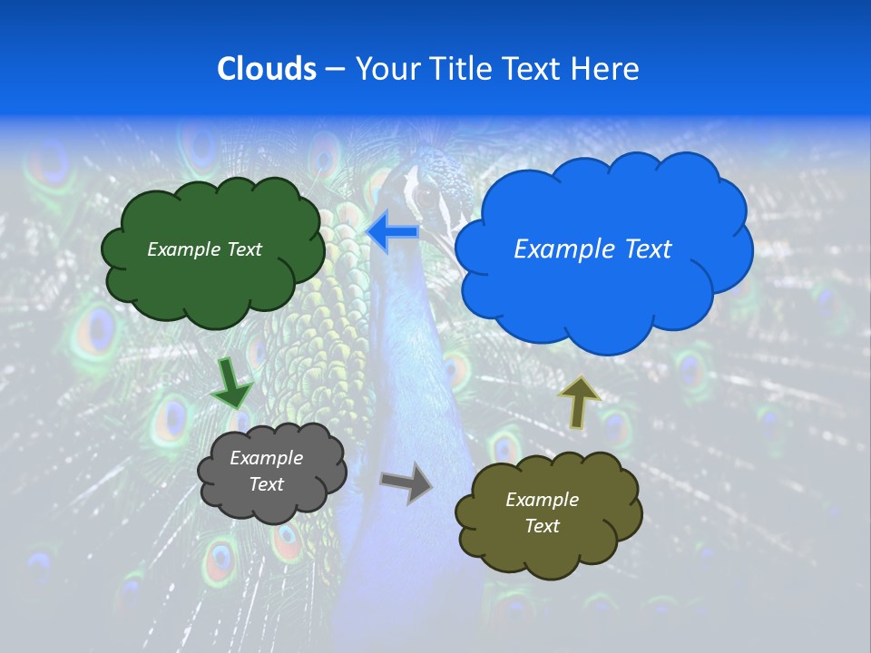 Male Vibrant Closeup PowerPoint Template