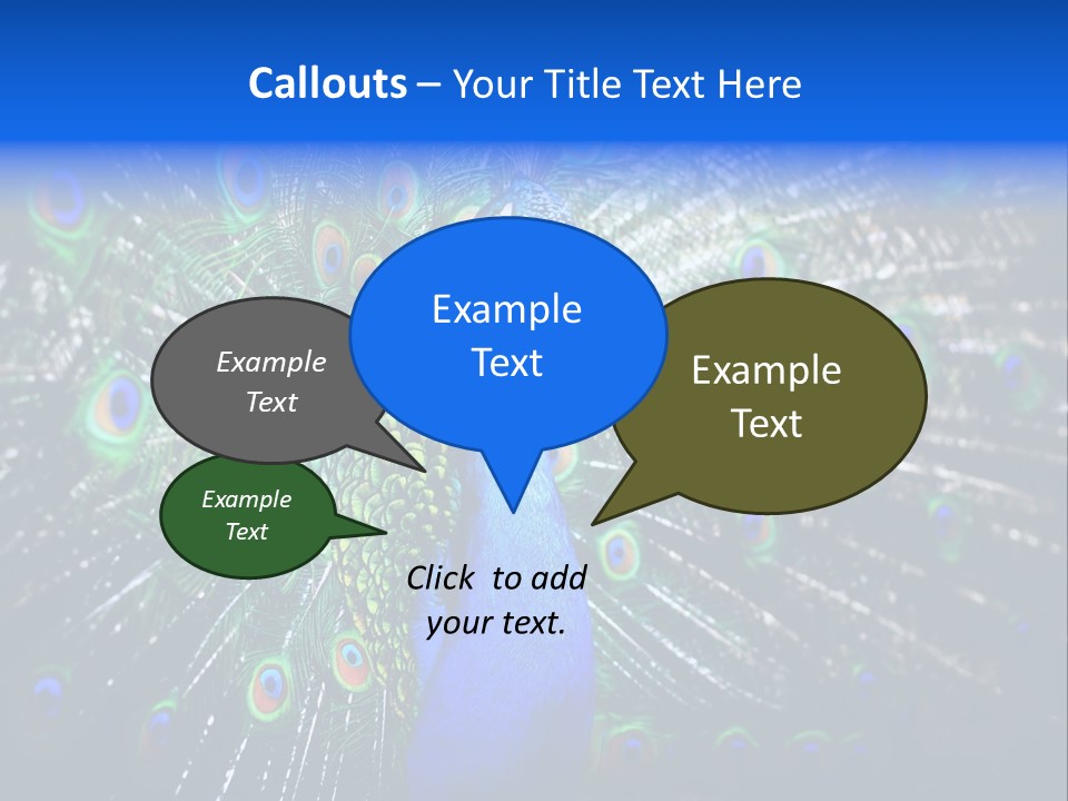 Male Vibrant Closeup PowerPoint Template