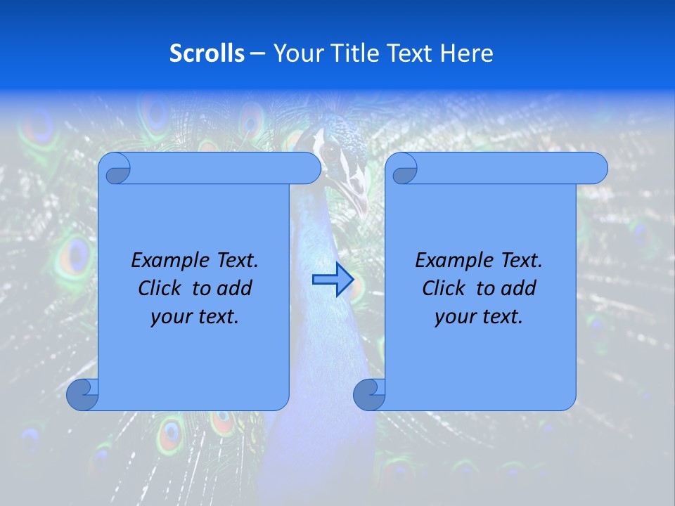 Male Vibrant Closeup PowerPoint Template