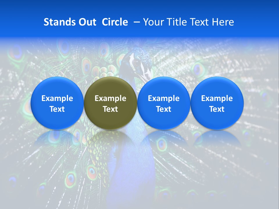 Male Vibrant Closeup PowerPoint Template