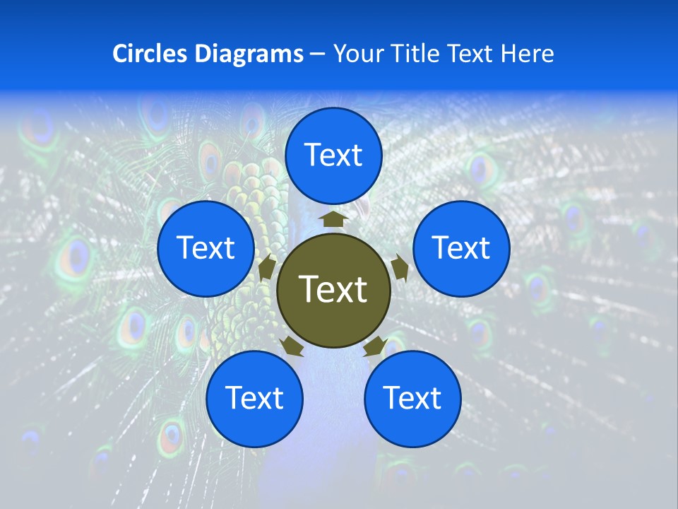 Male Vibrant Closeup PowerPoint Template