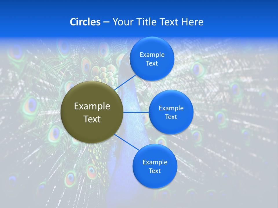 Male Vibrant Closeup PowerPoint Template