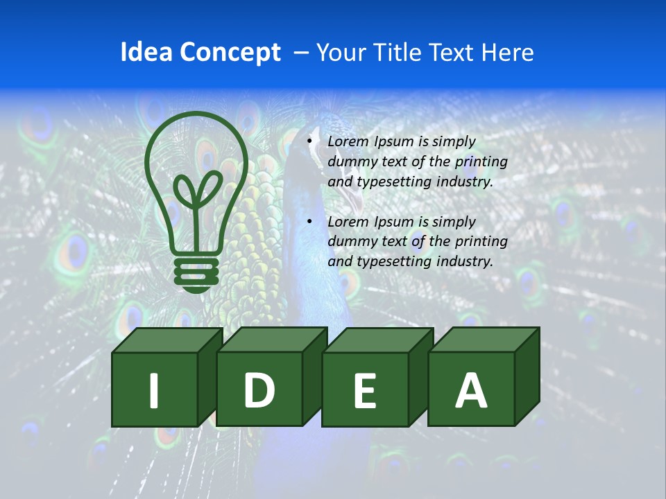 Male Vibrant Closeup PowerPoint Template