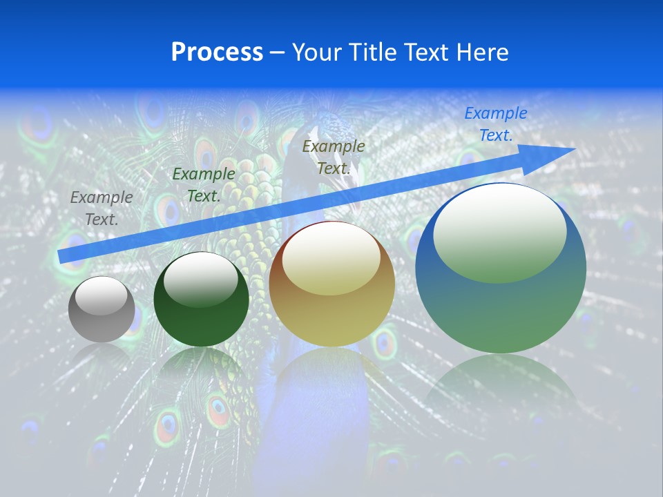 Male Vibrant Closeup PowerPoint Template