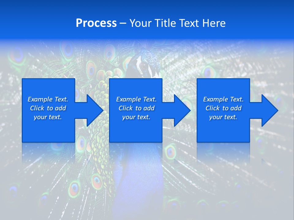 Male Vibrant Closeup PowerPoint Template