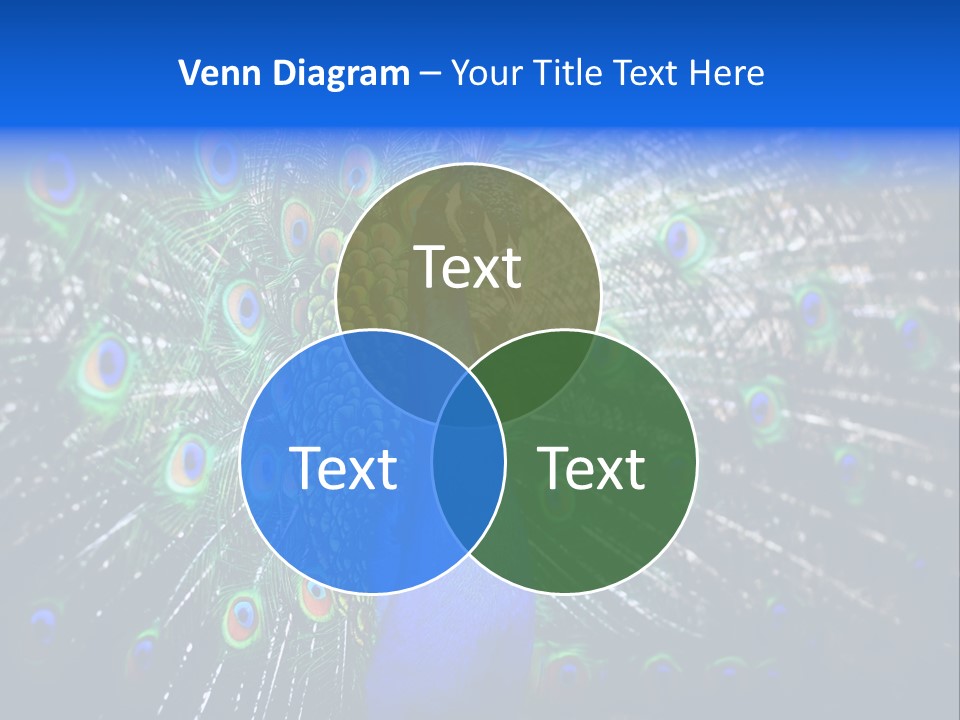Male Vibrant Closeup PowerPoint Template